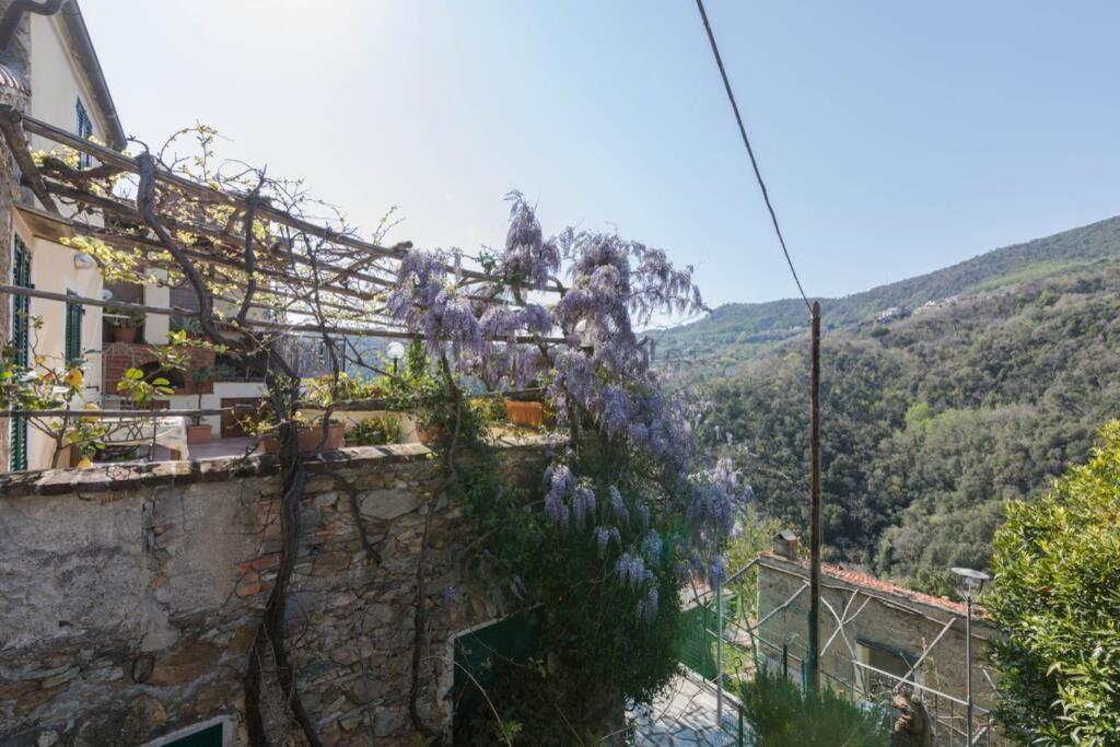 Villa La Casa Di Sandra A Noli Extérieur photo